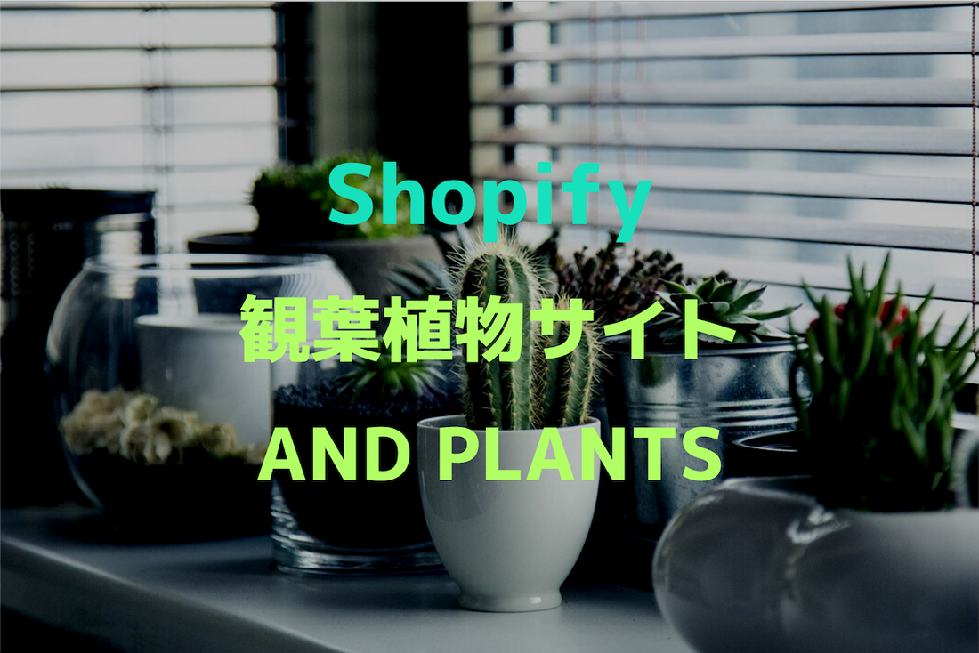 [Shopifyサイト事例紹介No.4] お洒落で検索しやすい観葉植物サイトAND PLANTS