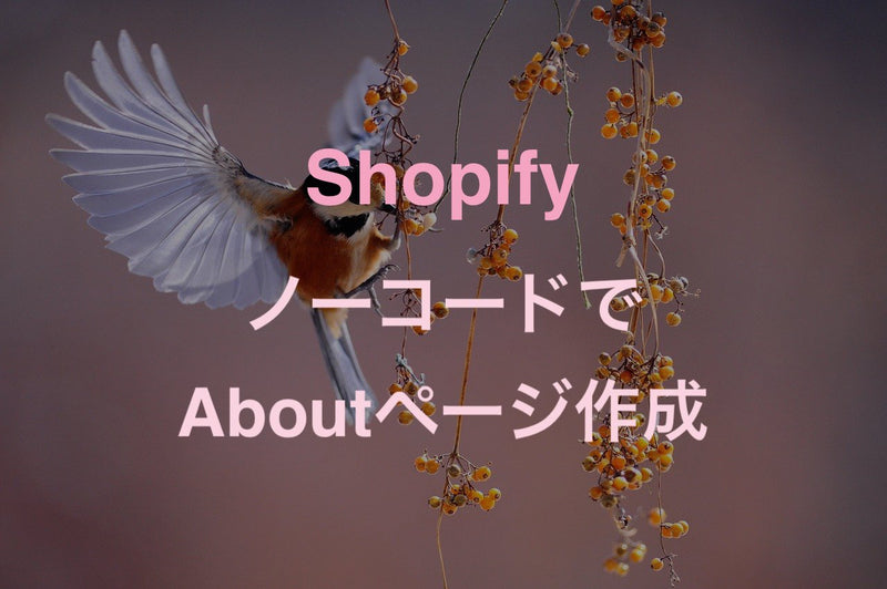 [Shopify] Make ABOUT page free with PageFly NoCode