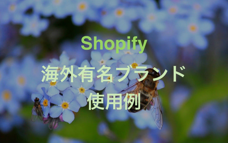 Summary of examples of EC sites using Shopify with famous overseas brands