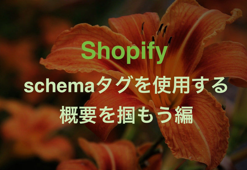 [Shopify] schemaタグの説明と簡単なliquidでの使用方法【概要を掴もう初級編】