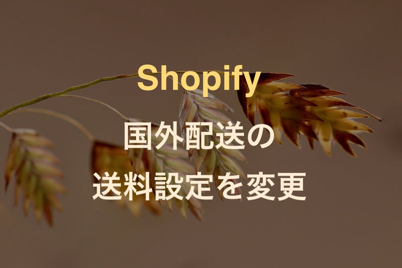 [Shopify] How to support international shipping in anticipation of cross-border e-commerce