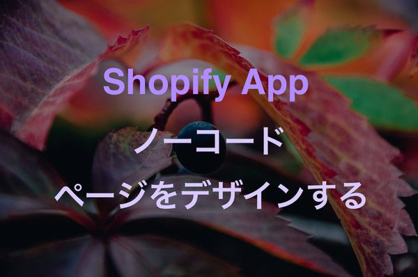 [Shopify App] PageFlyを使用してノーコードでお洒落なLPを作成する方法
